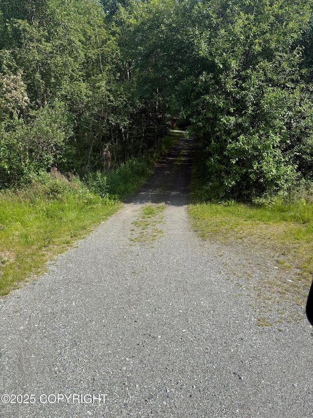 4261 E Foxtrot Ave, Wasilla, AK 99654 - view of dirt / gravel road