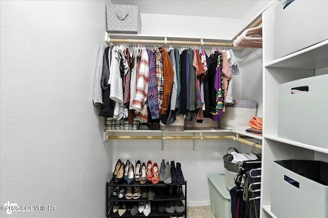 20454 Icefall Dr, Eagle River, AK 99577 - view of spacious closet