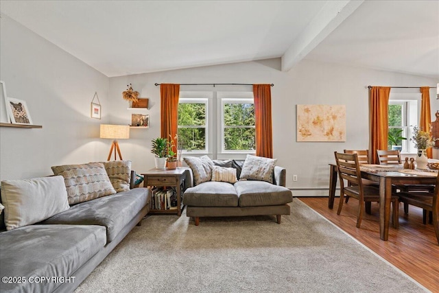 2701 Julie Ln, North Pole, AK 99705 - living area with baseboard heating and wood finished floors