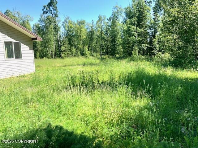 7367 S Rubacaba St, Wasilla, AK 99623 - view of yard