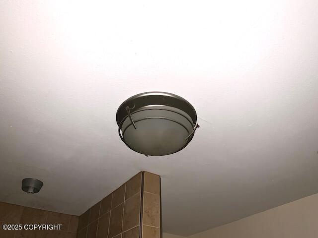 7367 S Rubacaba St, Wasilla, AK 99623 - detailed view