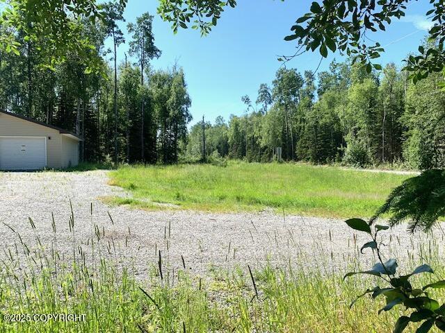 7367 S Rubacaba St, Wasilla, AK 99623 - view of yard featuring a detached garage