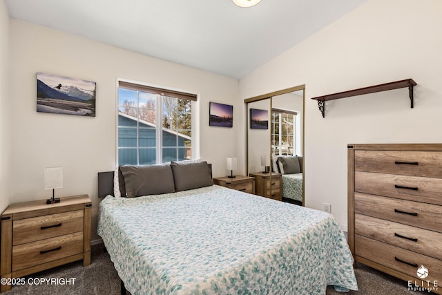8430 Greenhill Way, Anchorage, AK 99502 - bedroom featuring dark carpet and a closet