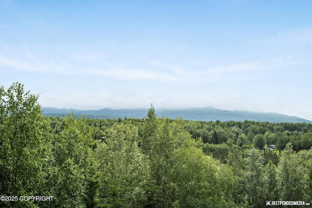 11459 Moonrise Ridge Pl # 7, Anchorage, AK 99516 - view of mountain backdrop with a forest