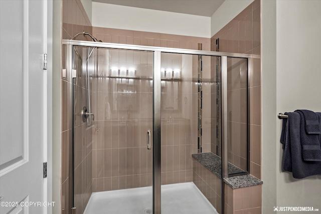 11459 Moonrise Ridge Pl # 7, Anchorage, AK 99516 - bathroom with a shower stall