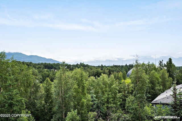 11459 Moonrise Ridge Pl # 7, Anchorage, AK 99516 - mountain view with a heavily wooded area