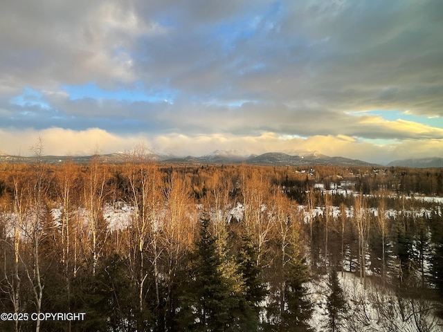11459 Moonrise Ridge Pl # 7, Anchorage, AK 99516 - view of nature with mountains