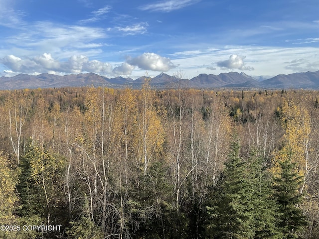 11459 Moonrise Ridge Pl # 7, Anchorage, AK 99516 - view of mountain background featuring a heavily wooded area
