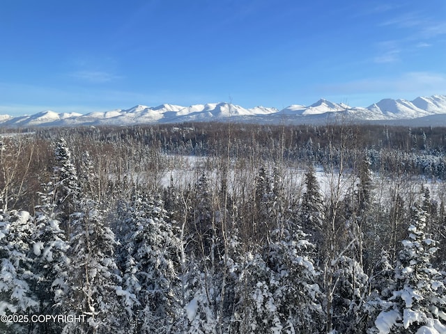 11459 Moonrise Ridge Pl # 7, Anchorage, AK 99516 - view of mountain background