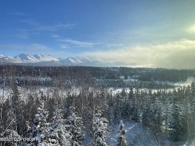11459 Moonrise Ridge Pl # 7, Anchorage, AK 99516 - mountain view