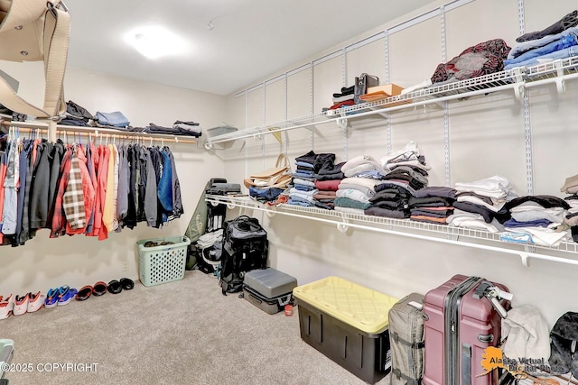 7521 Labrador Cir, Anchorage, AK 99502 - walk in closet with carpet flooring