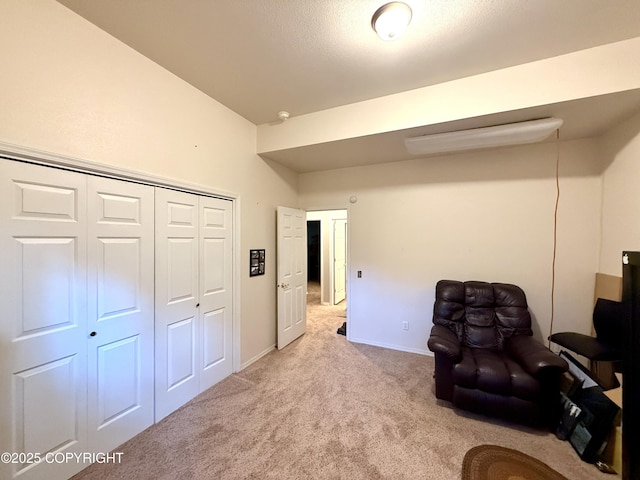 11741 Mary Ave, Anchorage, AK 99515 - photo 27