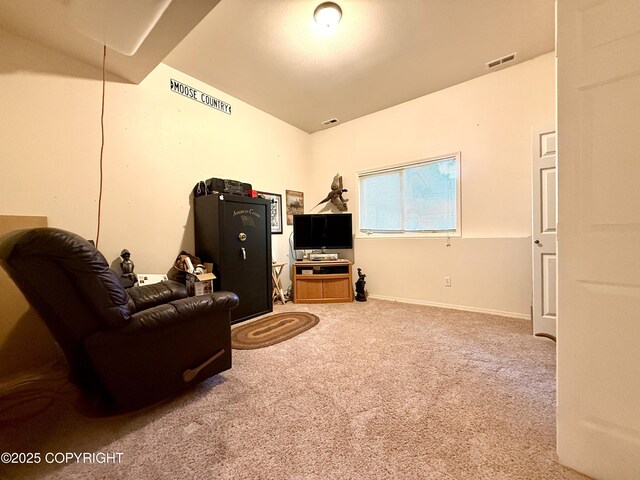 11741 Mary Ave, Anchorage, AK 99515 - photo 28