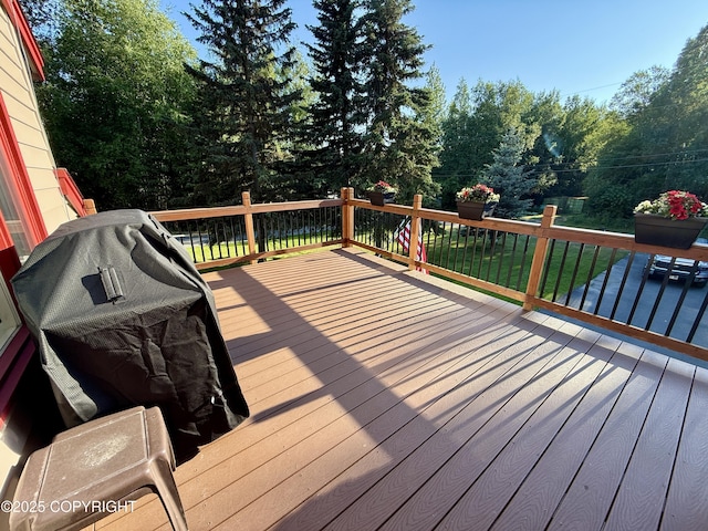 11741 Mary Ave, Anchorage, AK 99515 - photo 39