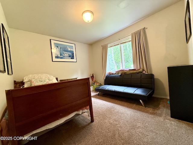 11741 Mary Ave, Anchorage, AK 99515 - photo 29
