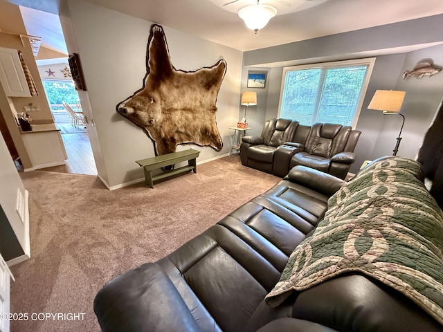 11741 Mary Ave, Anchorage, AK 99515 - photo 33