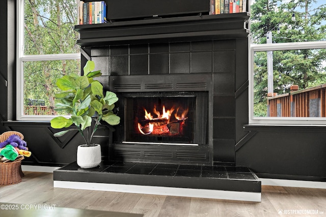 9755 Newhaven Loop, Anchorage, AK 99507 - detailed view of a fireplace and wood finished floors