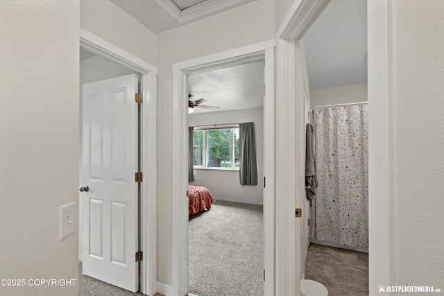 9755 Newhaven Loop, Anchorage, AK 99507 - hallway with carpet flooring