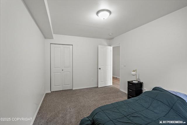 9755 Newhaven Loop, Anchorage, AK 99507 - bedroom featuring carpet floors and a closet