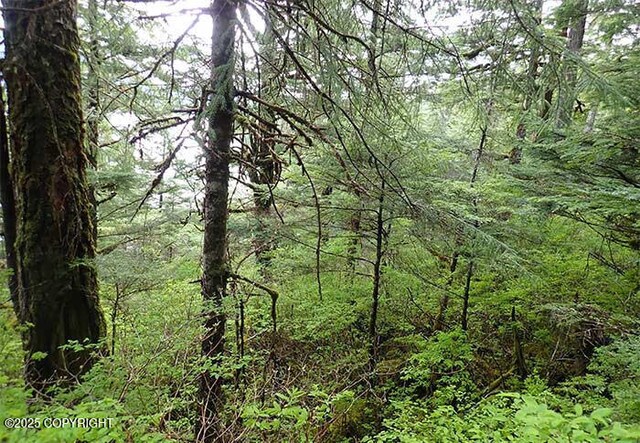 0 Tbd, Wrangell, AK 99929