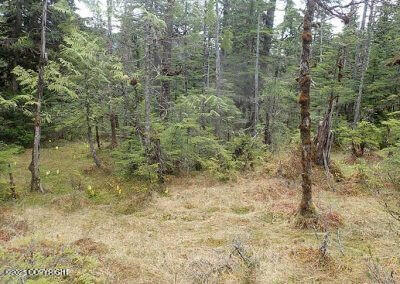 0 Tbd, Wrangell, AK 99929