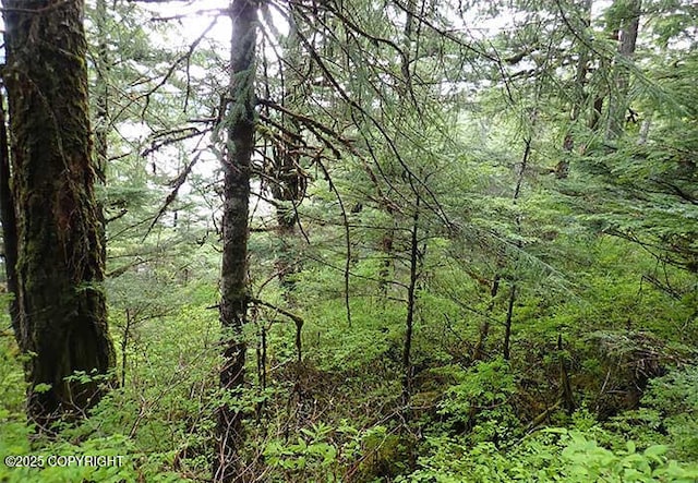 0 Tbd, Wrangell, AK 99929