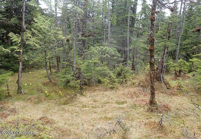 0 Tbd, Wrangell, AK 99929