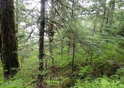 0 Tbd, Wrangell, AK 99929