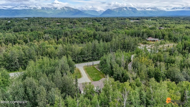 850 N Hickory St, Wasilla, AK 99645 - photo 56