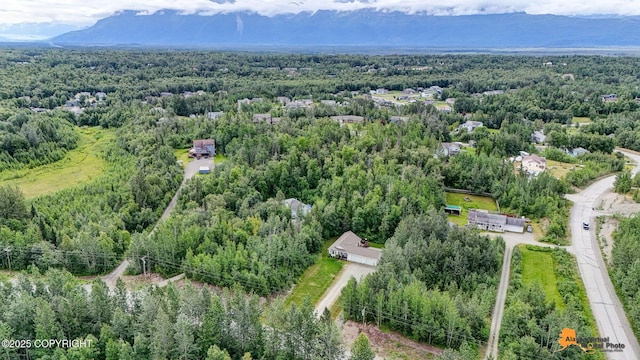 850 N Hickory St, Wasilla, AK 99645 - photo 60