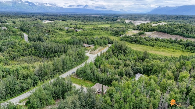 850 N Hickory St, Wasilla, AK 99645 - photo 61