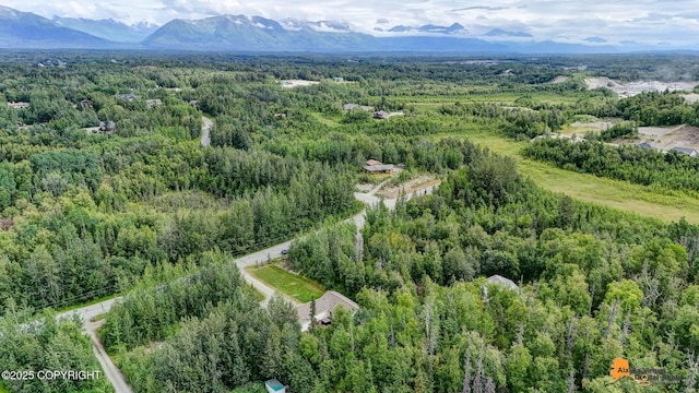 850 N Hickory St, Wasilla, AK 99645 - photo 62