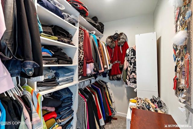 8410 E 20th Ave, Anchorage, AK 99504 - walk in closet featuring carpet floors