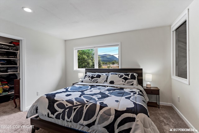 8410 E 20th Ave, Anchorage, AK 99504 - carpeted bedroom featuring a walk in closet and baseboards