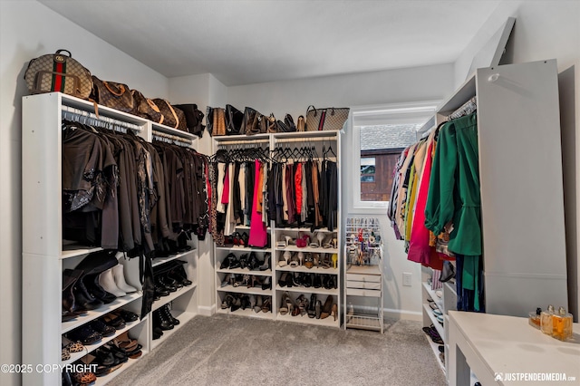 8410 E 20th Ave, Anchorage, AK 99504 - walk in closet with carpet floors