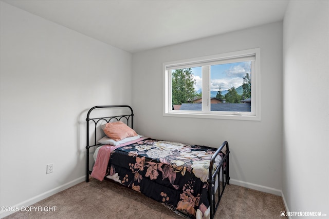 8410 E 20th Ave, Anchorage, AK 99504 - carpeted bedroom featuring baseboards