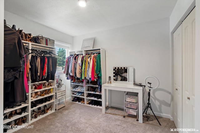 8410 E 20th Ave, Anchorage, AK 99504 - walk in closet featuring carpet