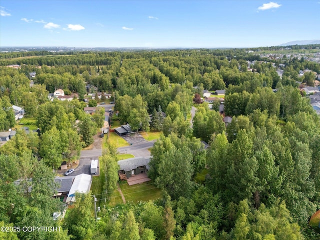 12145 Rainbow Ave, Anchorage, AK 99516 - view of property location with a forest