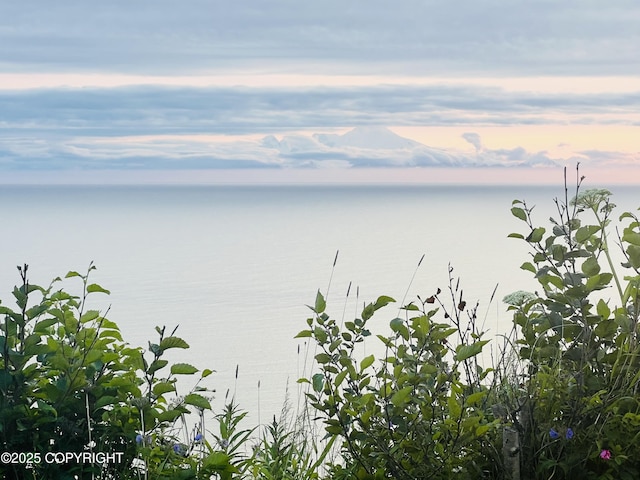 32425 Sterling Hwy, Anchor Point, AK 99556 - water view