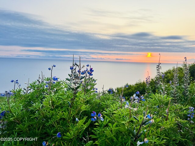 32425 Sterling Hwy, Anchor Point, AK 99556 - water view