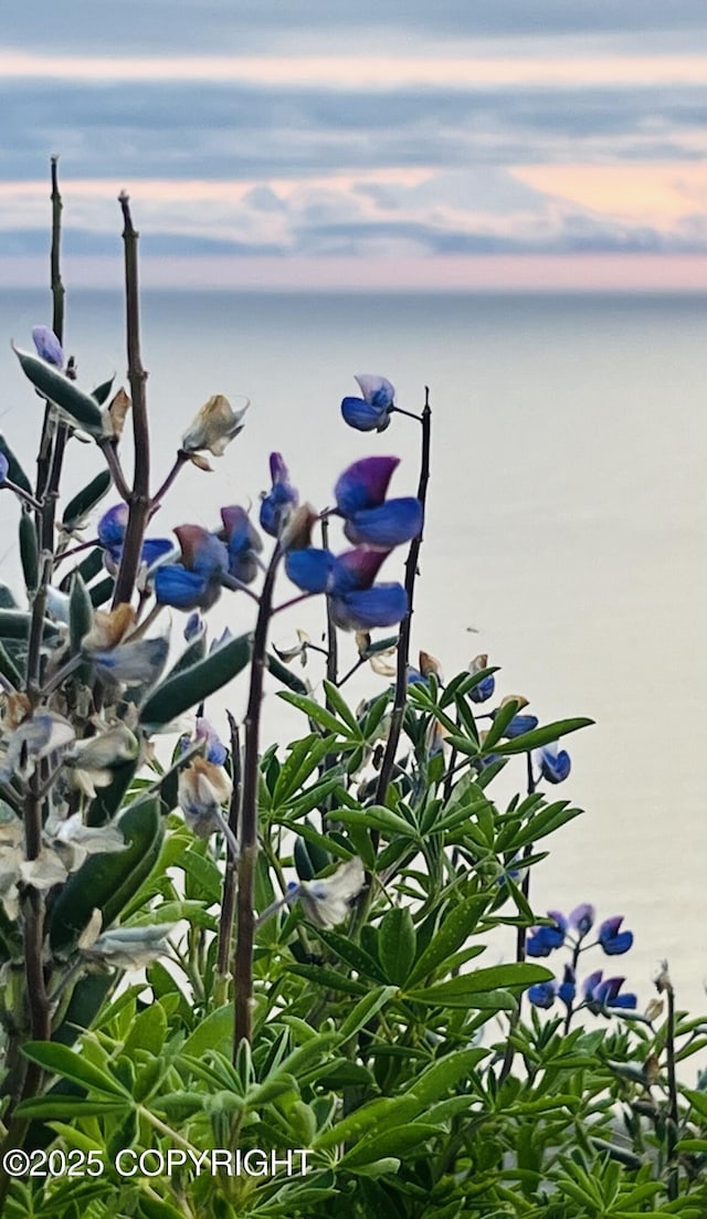 32425 Sterling Hwy, Anchor Point, AK 99556 - water view