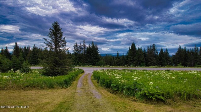 32425 Sterling Hwy, Anchor Point, AK 99556 - view of road with a view of trees