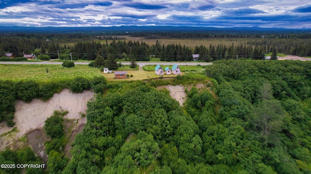 32425 Sterling Hwy, Anchor Point, AK 99556 - aerial view of property and surrounding area featuring a forest