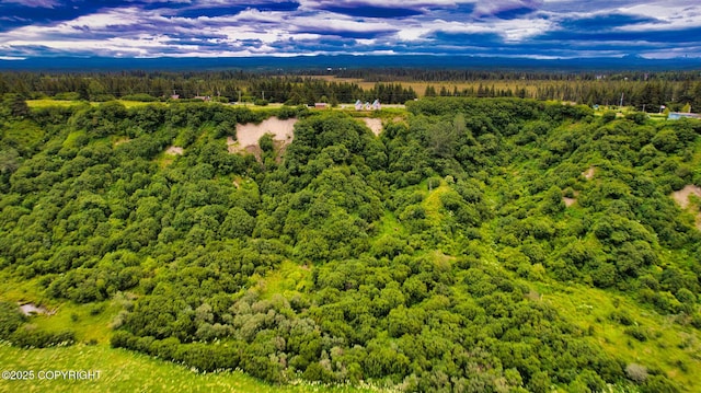 32425 Sterling Hwy, Anchor Point, AK 99556 - aerial view of a forest