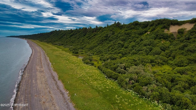 32425 Sterling Hwy, Anchor Point, AK 99556 - drone / aerial view of a nearby body of water and a forest