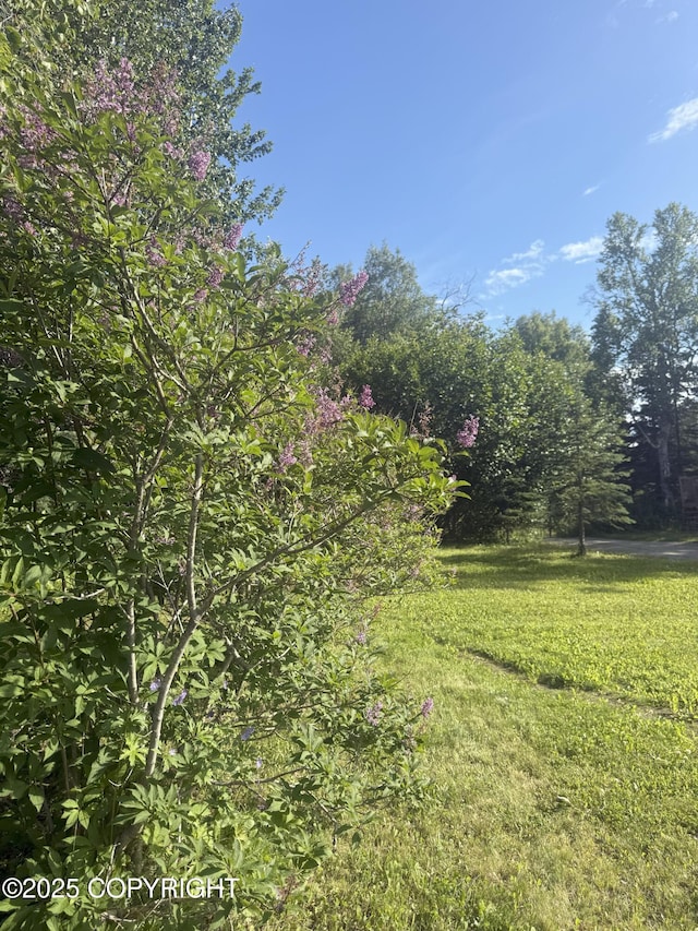 54110 Field Dr, Nikiski/North Kenai, AK 99611 - view of green lawn