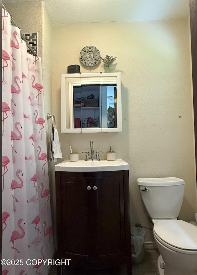 54110 Field Dr, Nikiski/North Kenai, AK 99611 - bathroom featuring vanity, a shower with shower curtain, and a textured wall