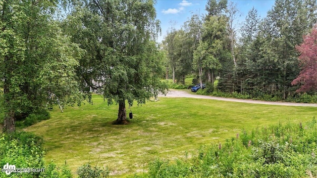 33085 Community College Dr, Soldotna, AK 99669 - photo 46