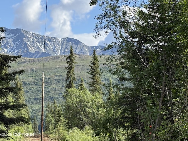 20120 W Glenn Hwy, Chickaloon, AK 99674 - mountain view featuring a heavily wooded area