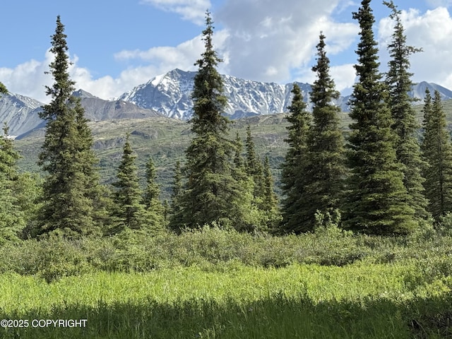 20120 W Glenn Hwy, Chickaloon, AK 99674 - view of mountain backdrop